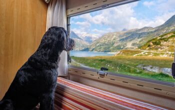 rv-camper-640x480-47313879.jpeg