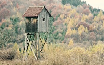 sheds-640x480-14699140.jpeg