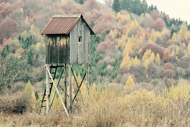 Seamless Storage: Guide to Picking Perfect Outdoor Portable Buildings
