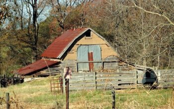 sheds-640x480-33680876.jpeg