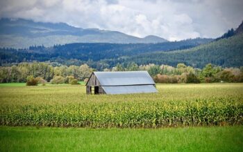 sheds-640x480-43852875.jpeg