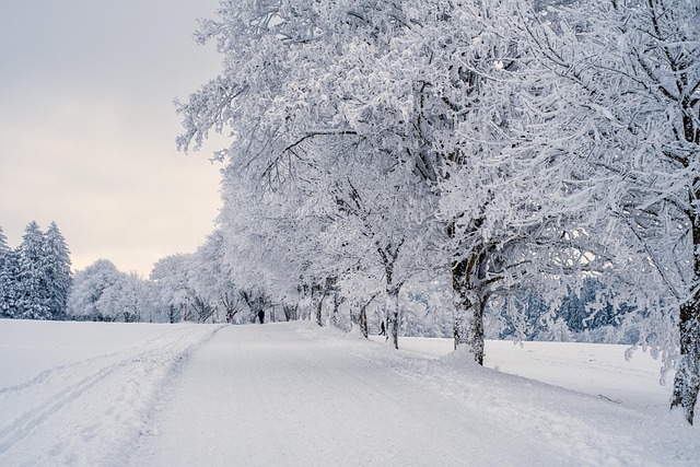 snow removal