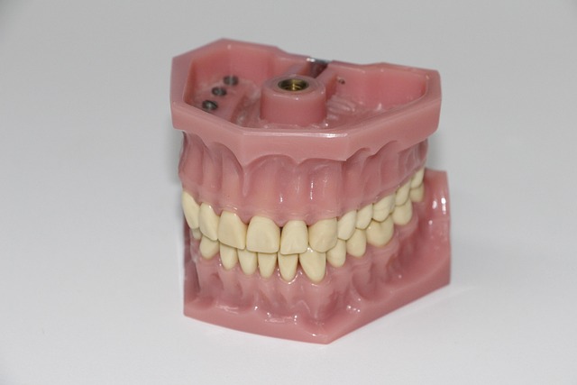 Transform Your Smile: Affordable Complete Dentures in Milton’s Top Dental Clinic – Free Quotes & Consultations!