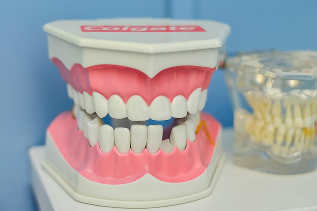 Brighten Your Smile, Save Time & Cash: Milton Pavan at Clearview Dental Milton
