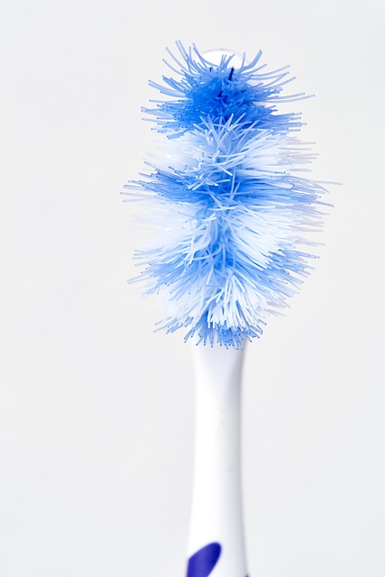 Clearview Dental Milton: Affordable Comprehensive Exams, Healthy Smile Guaranteed