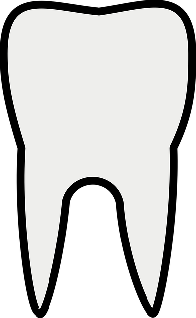 Milton Family Dentist Offers Free Mercury-Free Fillings – Save Money, Gain a Bright Smile