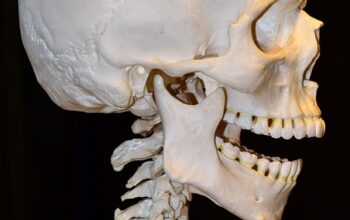 free-denture-consultation-leamington-640x480-43567354.jpeg