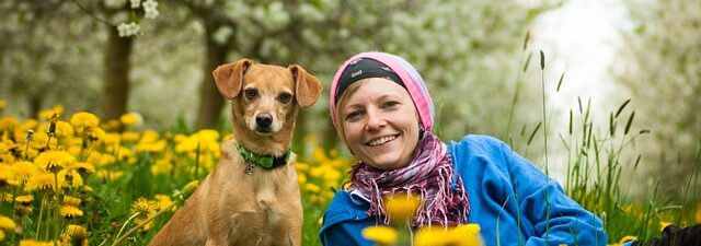 humane-animal-control-640x480-58281996.jpeg