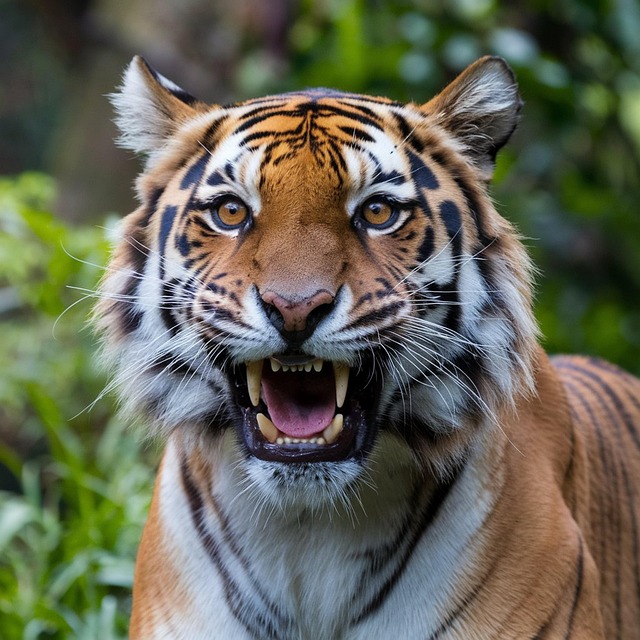 Transform Your Smile, Save Big: Implant Dentures in Leamington