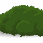 landscaping-640x480-35322369.png