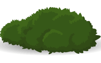 landscaping-640x480-35322369.png