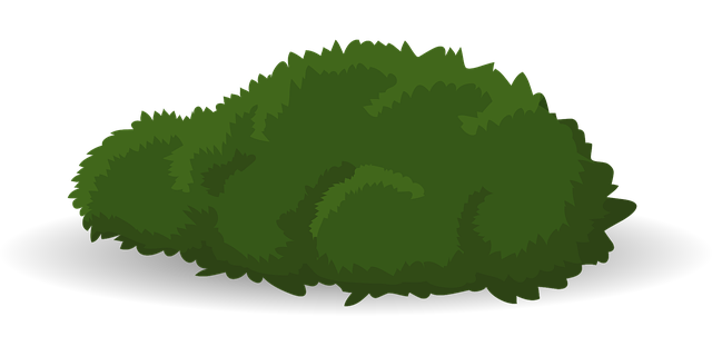 landscaping-640x480-35322369.png