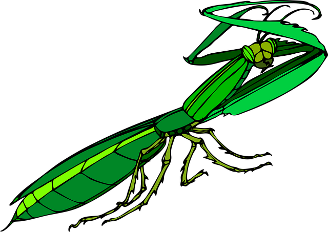 Animal Damage Repair: Windsor Essex Pest Control & Management
