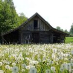 sheds-640x480-41442536.jpeg