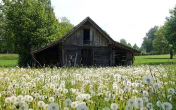 sheds-640x480-41442536.jpeg