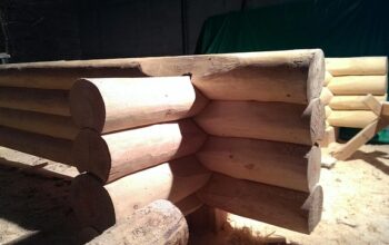 sheds-640x480-49304781.jpeg