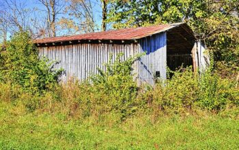 sheds-640x480-82242670.jpeg