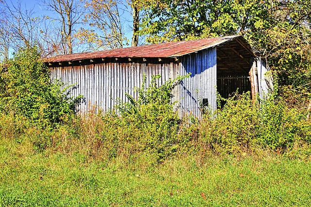Lofted Buildings: Maximize Space in Your Urban Garden Shed