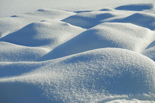Mastering Commercial Snow Plowing Contract Negotiations: A Comprehensive Guide