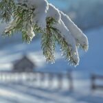 snow-removal-640x480-56583835.jpeg