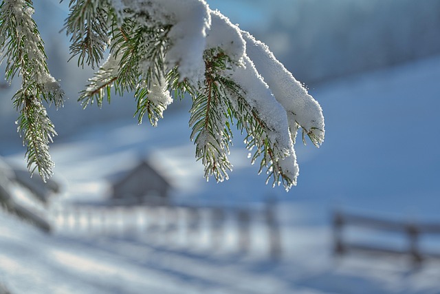 snow-removal-640x480-56583835.jpeg