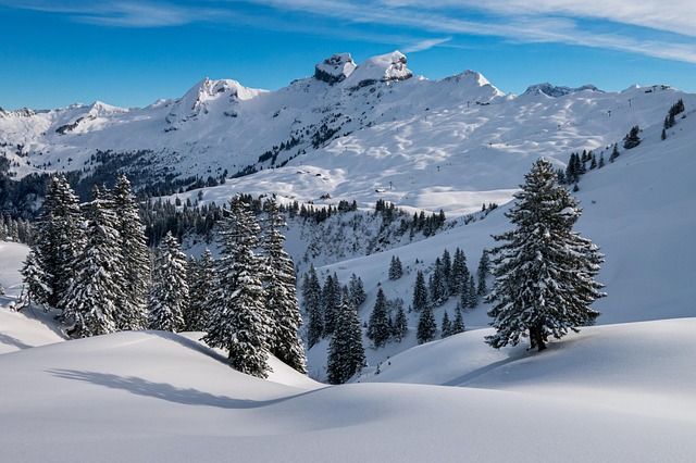 snow removal