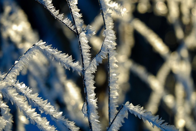 Safe Snow Removal: Gear, Practices, and Maintenance for Commercial Services
