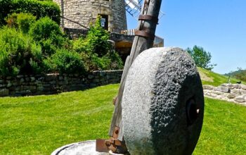 stump-grinding-640x480-66364696.jpeg