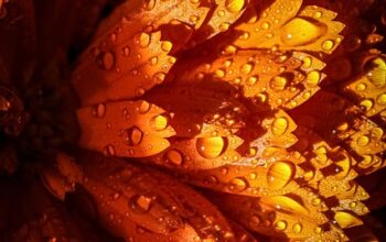 wet-basement-640x480-26661032.jpeg