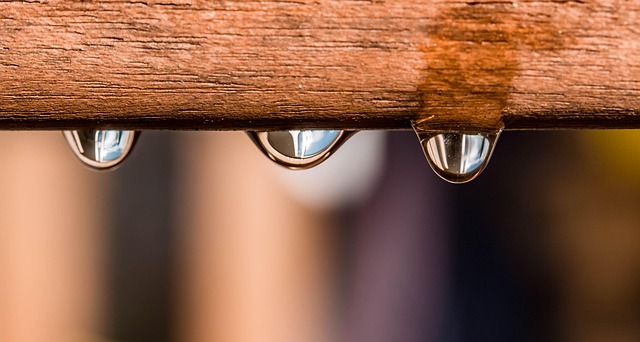 Fix Basement Leaks: Guide to Waterproofing & Repair