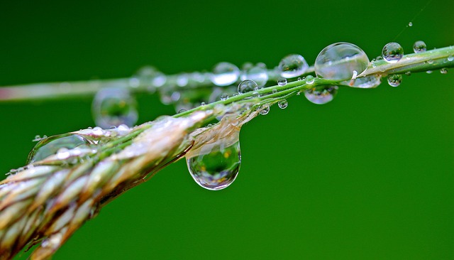 Paul’s Basement Waterproofing: Expert Tips for Long-Lasting Protection