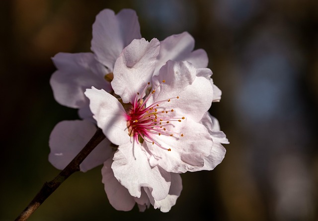 BARE Essentials Spa: Unlocking Natural Beauty & Well-being