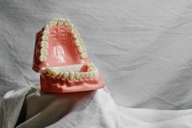 Transform Your Smile with Clearview Dental Milton’s Affordable Bridge Solutions – Save Now!