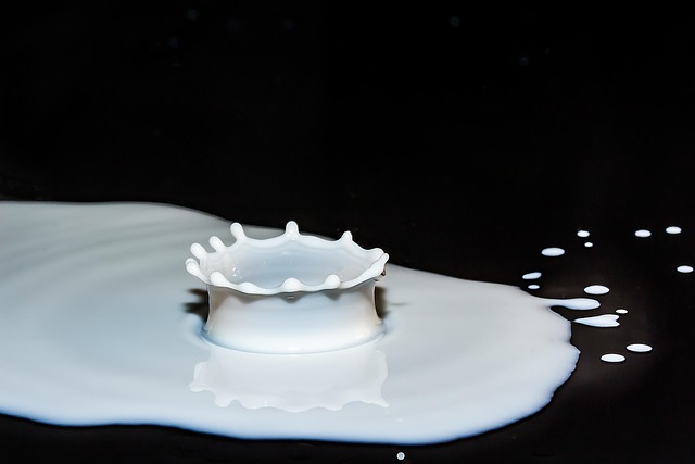 Transform Your Smile & Save: Cost-Effective Dental Bridges in Milton