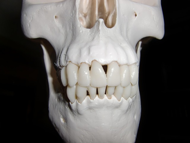 Save Money on Top-Rated Denture Relines in Leamington – Free Consultations!
