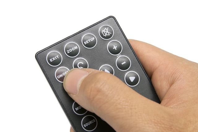 Protect Your Home: Instant Relief with Emergency Wildlife Control Windsor