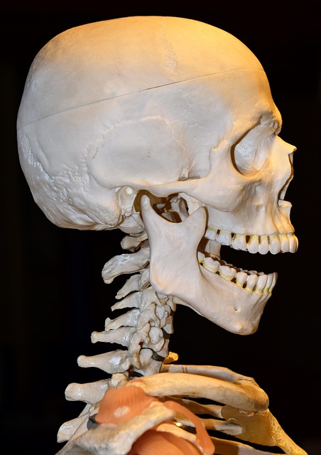 Affordable Denture Repair Leamington: Save Now with Top-Rated Services!