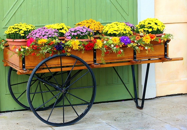Transform Your Yard, Save Big: Free Design from Top Windsor Landscaping Co.