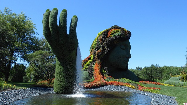 Transform Your Yard, Save Money: Windsor’s Top Landscaping Experts Design Your Dream Space Today!