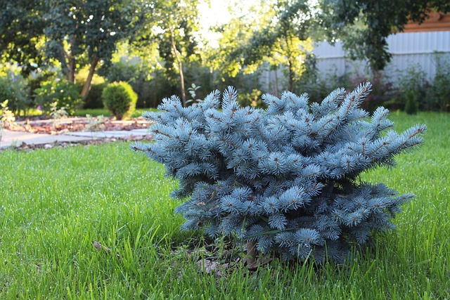 Transform & Save: Top Windsor Landscape Design Construction Experts