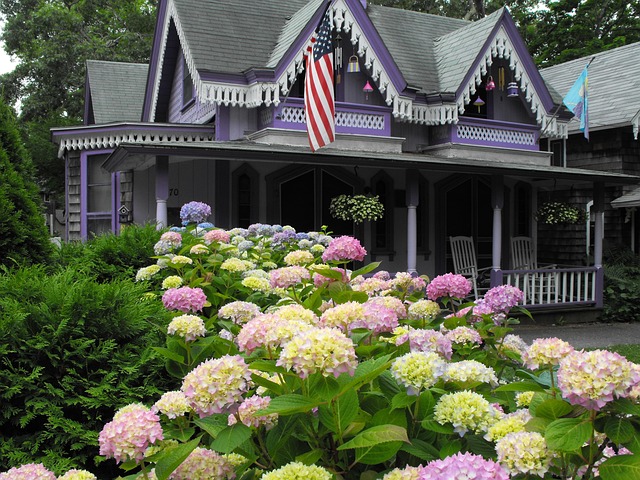 Elevate Your Yard: Free Design, Top Care, Save Time & Money!
