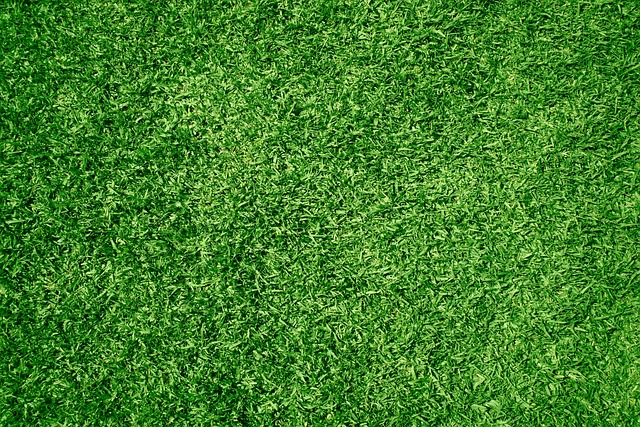 Garlatti Landscape Magic: Free Design, Stunning Yard, Save Now!