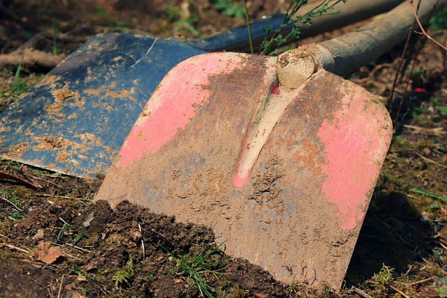 Transform & Save: Eco-Friendly Landscape Design & Construction in Windsor