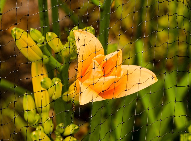 ProTrap Wildlife: Safe Residential Windsor Essex Removal Experts