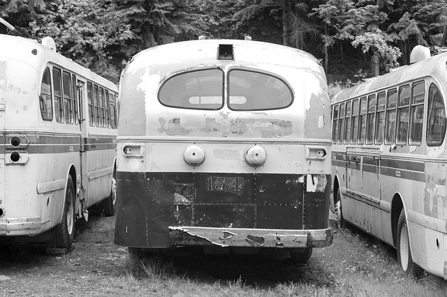 Unleash Your Wanderlust: RV Buying Guide for Ontario