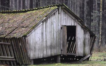 sheds-640x480-12476914.jpeg