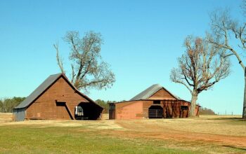 sheds-640x480-21001175.jpeg