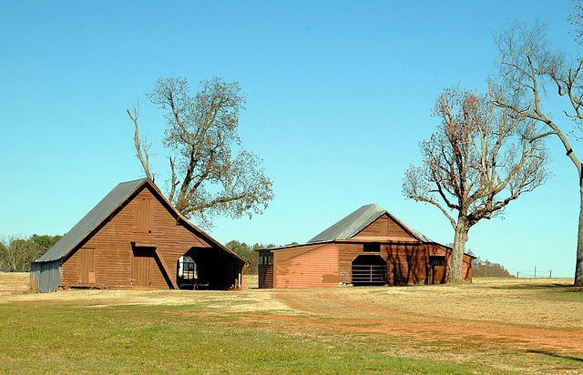 Optimize Your Space: Storage Sheds for Every Climate and Style