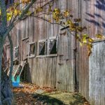 sheds-640x480-92246600.jpeg