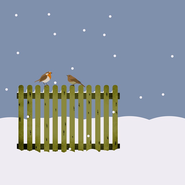snow removal